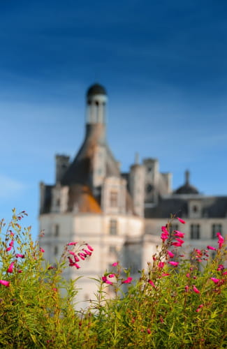 Jardin Chambord