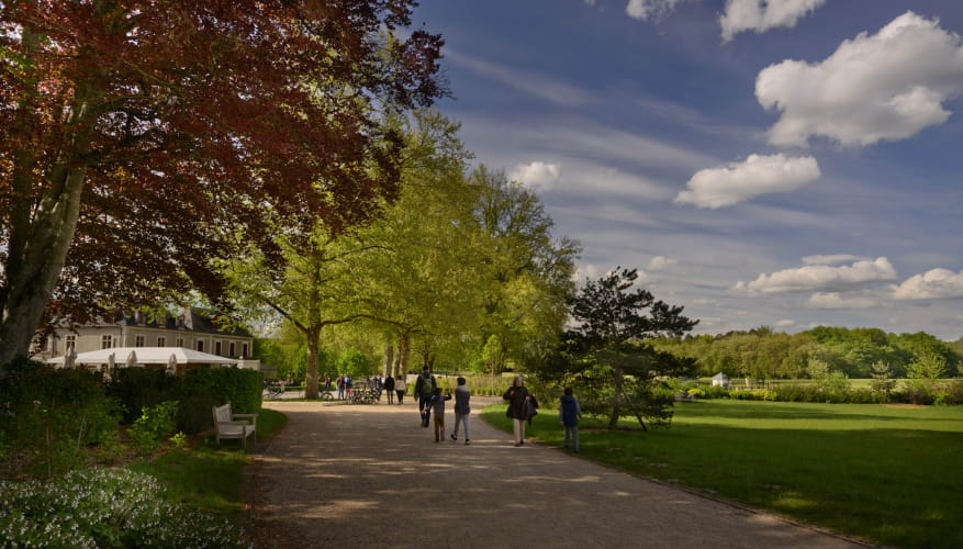 Domaine national de Chambord le jardin anglais