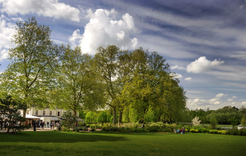 Domaine national de Chambord le jardin anglais