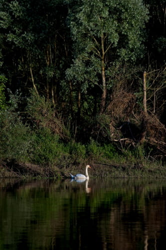 Balade en bateau sur la Loire avec Millière Raboton ©Laurent Alvarez