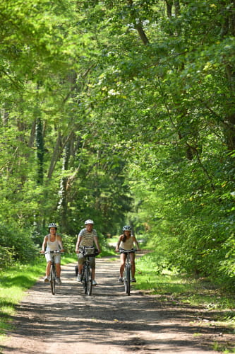 Balade à vélo à Marcilly-en-Gault - Sologne ©Joël Damase