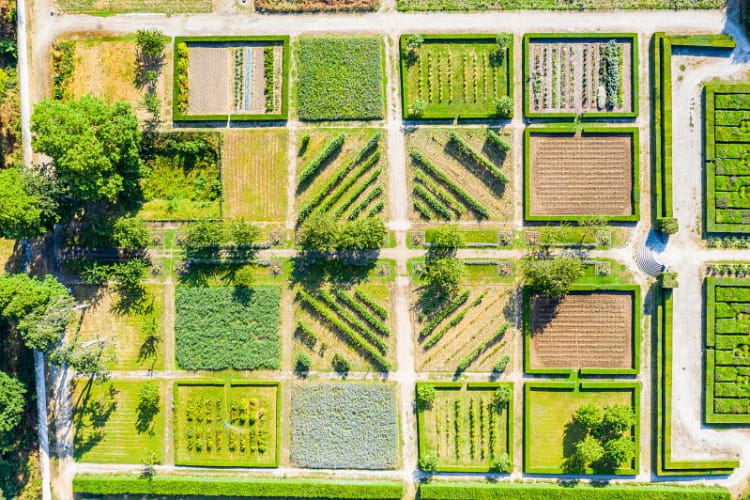 Jardins de Talcy ©Aurélien Charron