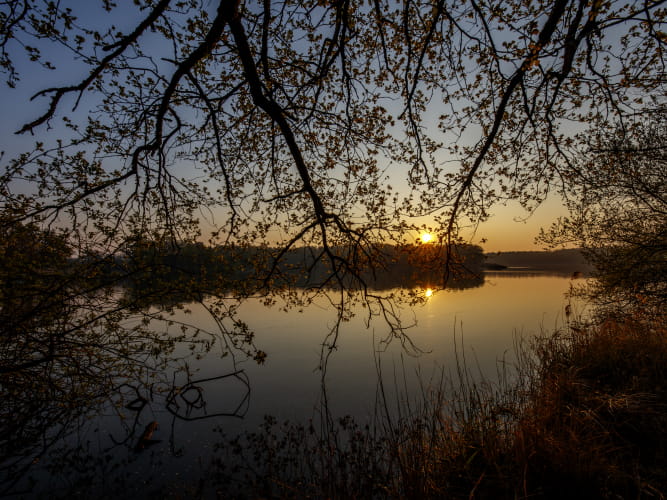 Etang à Neung-sur-Beuvron en Sologne ©David Darrault