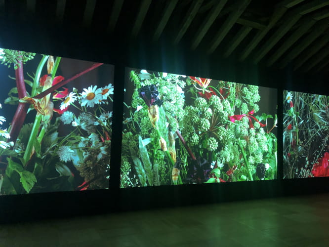 Exposition numérique Château de Chaumont