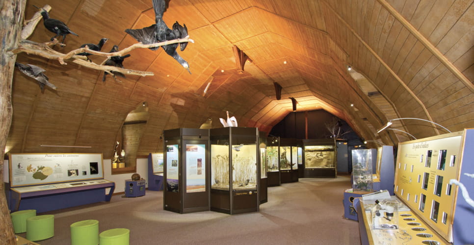 Muséum d'Histoire Naturelle ©Ville de Blois