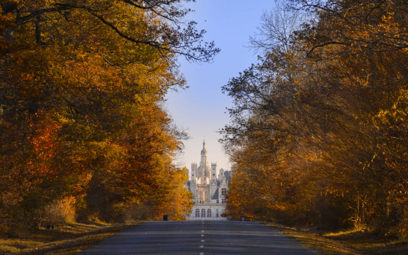 Château de Chambord ©Léonard de Serres - Domaine national de Chambord