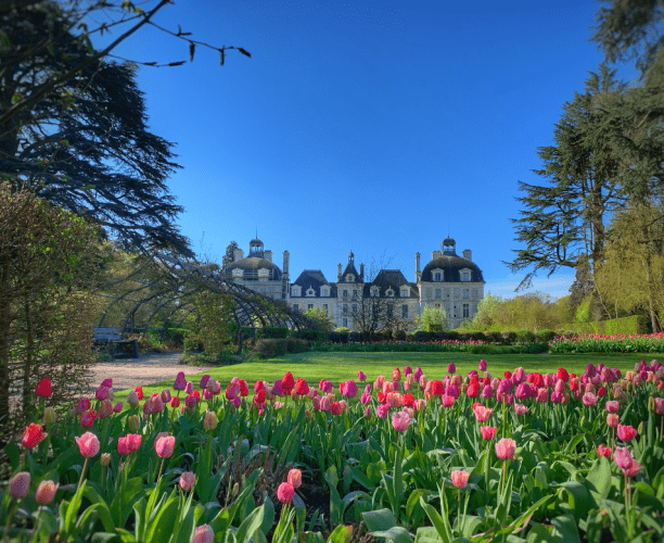 Fête des plantes au château de Cheverny ©MP Media-StudioMir