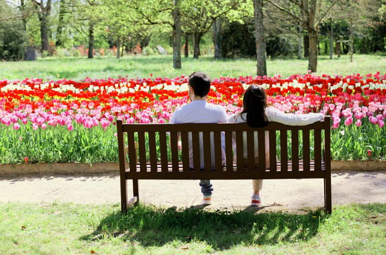 Cheverny jardin de tulipes